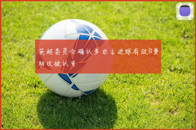 英超委员会确认多尔古进球有效B费助攻被认可
