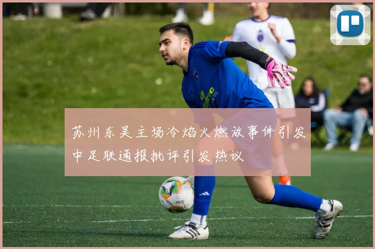 苏州东吴主场冷焰火燃放事件引发中足联通报批评引发热议