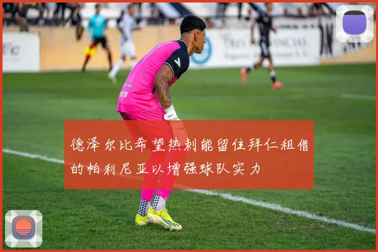 德泽尔比希望热刺能留住拜仁租借的帕利尼亚以增强球队实力